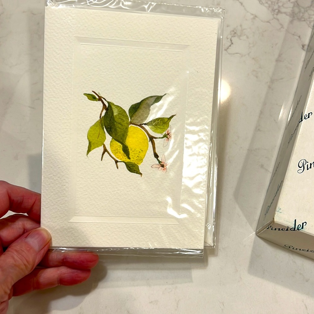 Vintage PINEIDER 25 notecards and envelopes New In Box
